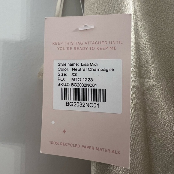 XS Birdy Grey Champagne Satin Dress - Picture 4 of 4